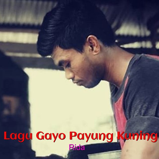 Lagu Gayo Payung Kuning By Rida On Tidal