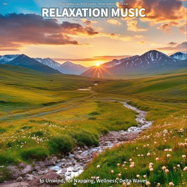 #01 Relaxation Music to Unwind, for Napping, Wellness, Delta Waves