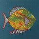 Cover art for album Fish by Michael Chapman