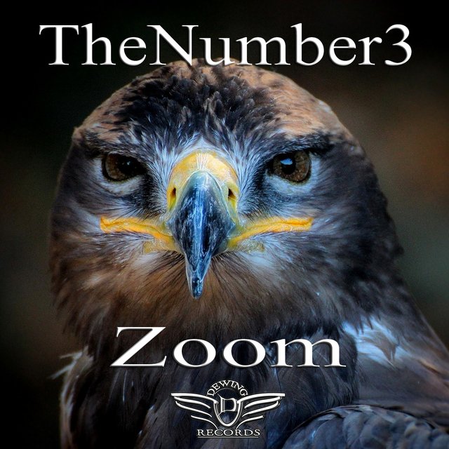 Zoom