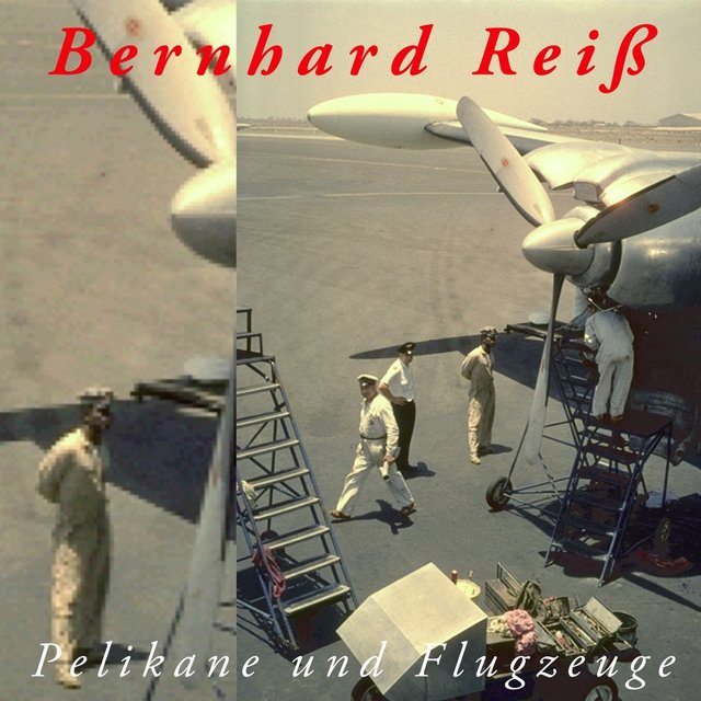 Pelikane & Flugzeuge