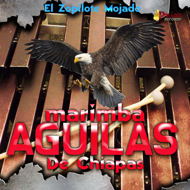 El Zopilote Mojado
