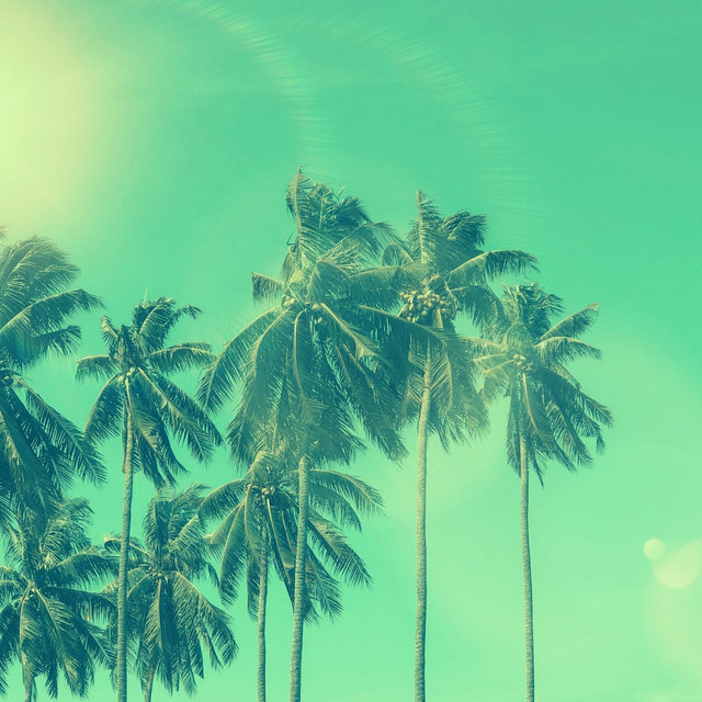 Feelings for Travels
