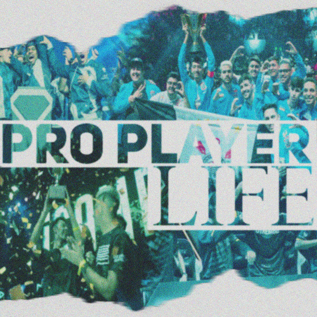 Pro Player Life