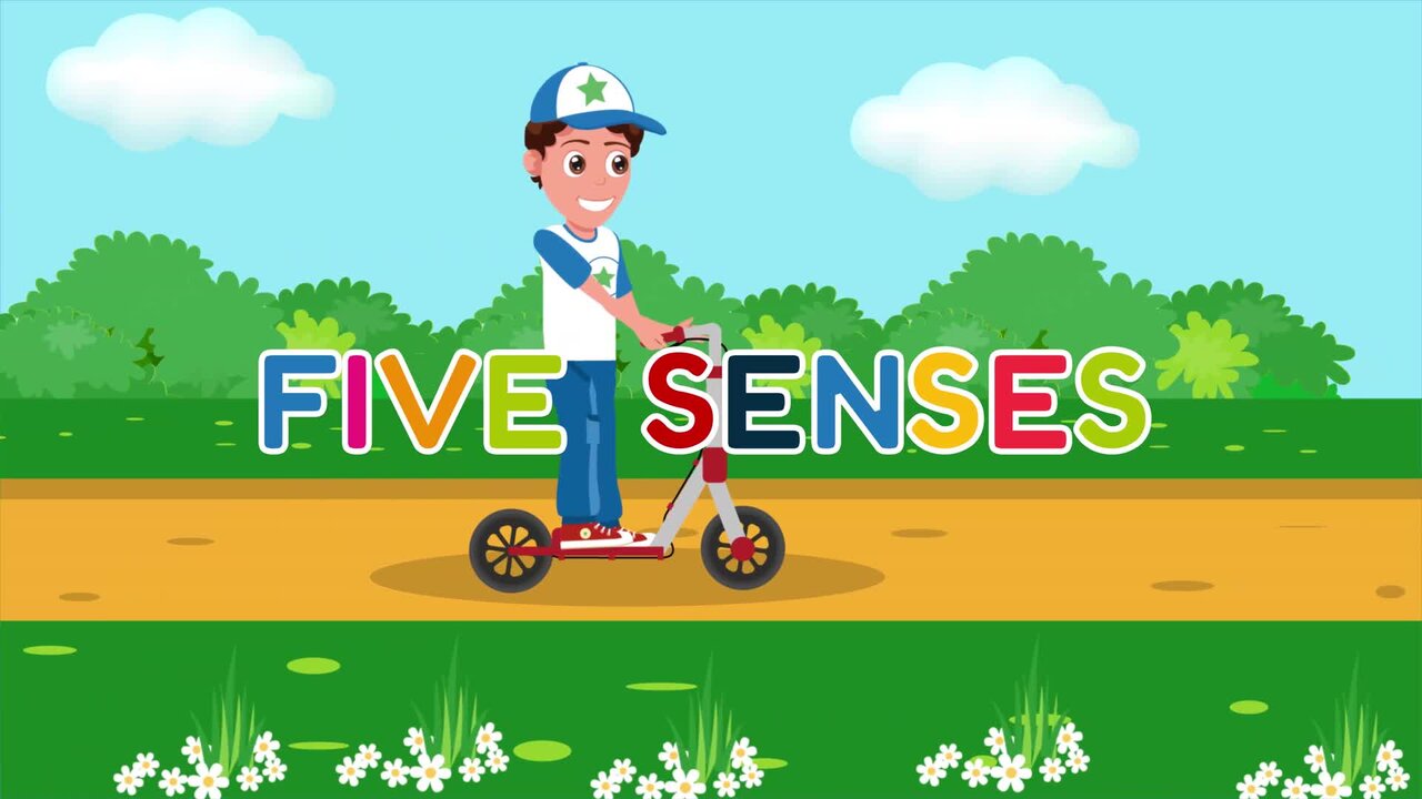 5 Senses Song