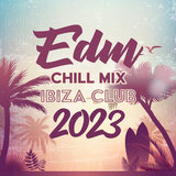 Edm Chill Mix