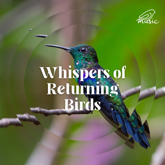 Whispers of Returning Birds