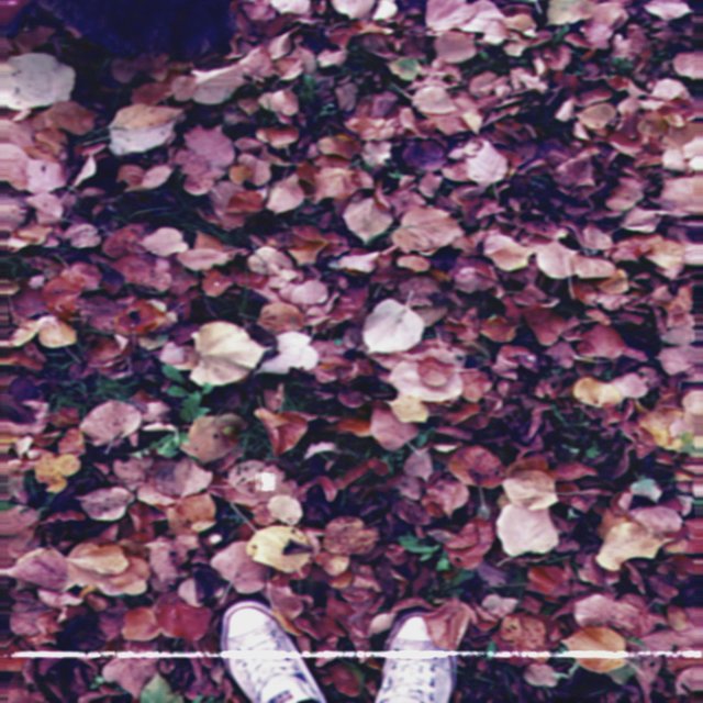Will It Be Okay?