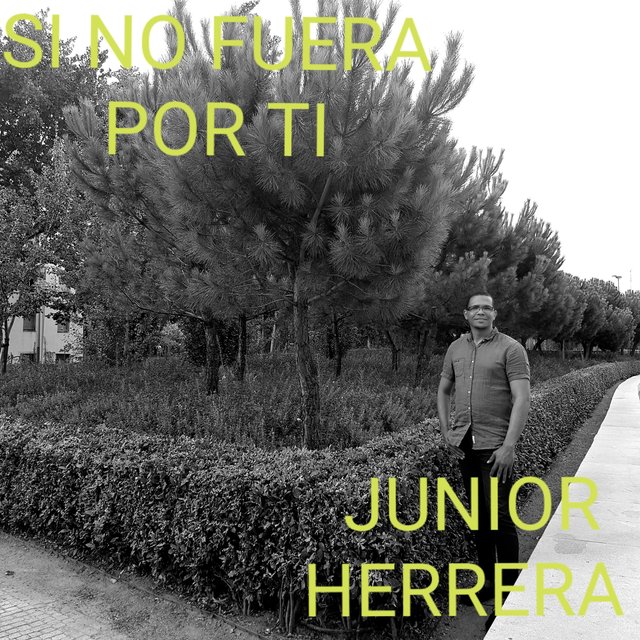 Si No Fuera Por Ti