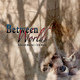 Cover art for album Between Worlds by Deborah Martin, Erik Wøllo