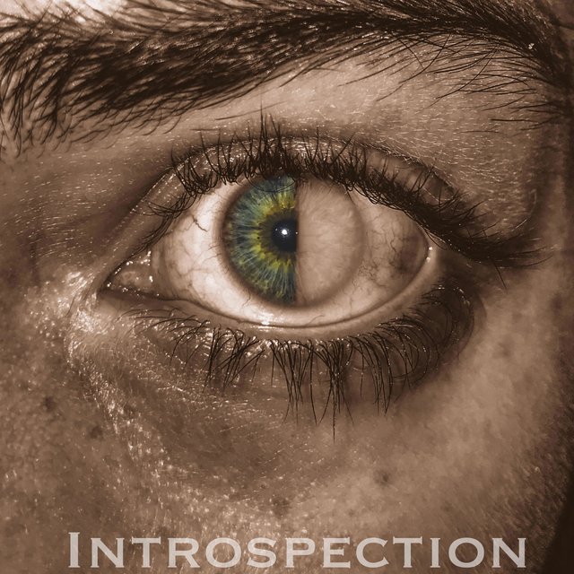 Introspection