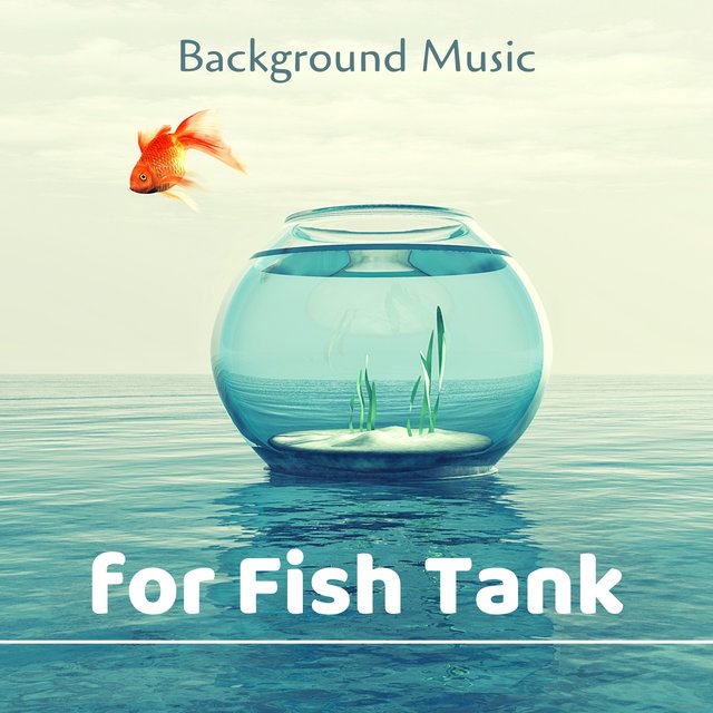 Background Music for Fish Tank - Relaxing Zen Music