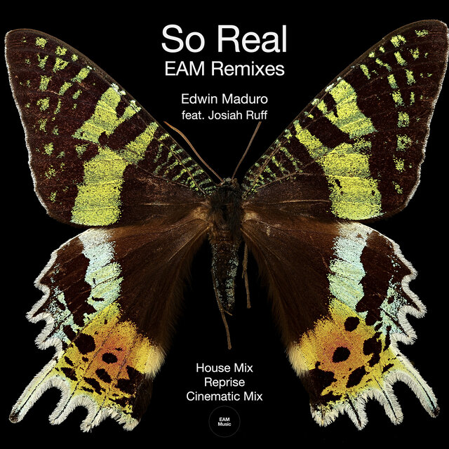 So Real Eam Remixes
