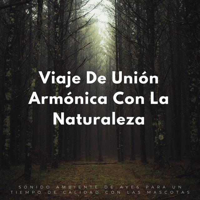 Viaje De Unión Armónica Con La Naturaleza: Sonido Ambiente De Aves Para Un Tiempo De Calidad Con Las Mascotas