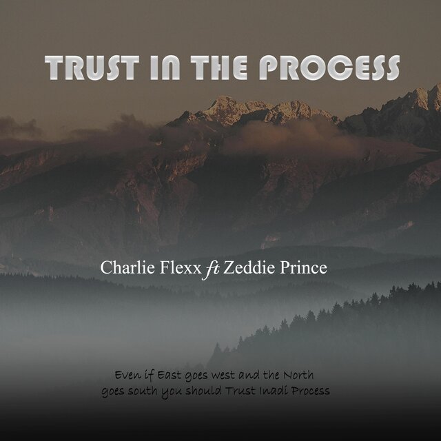 Trust In The Process (feat. Zeddie Prince)