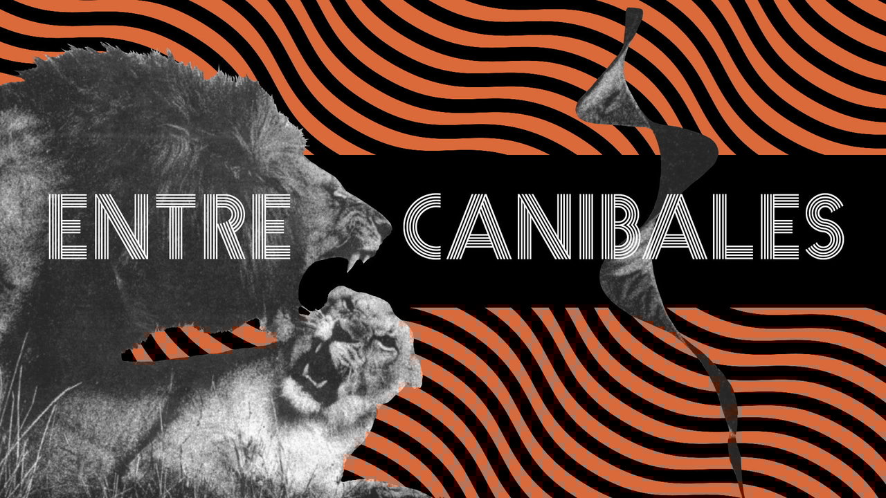 Entre Caníbales (Album Version)