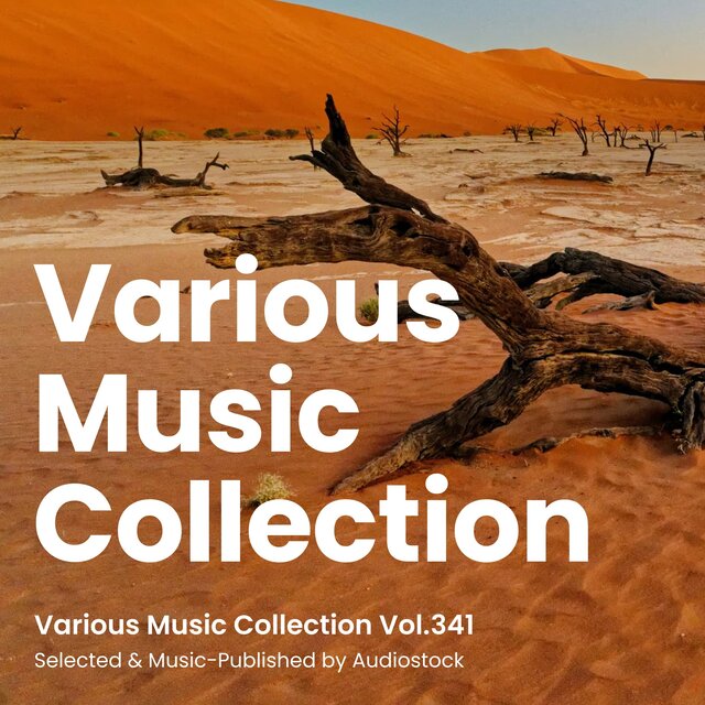 Various Music Collection Vol.341 -Selected & Music-Published by Audiostock-