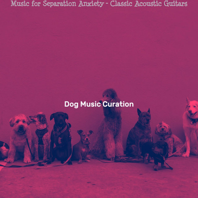 Music for Separation Anxiety - Classic Acoustic Guitars