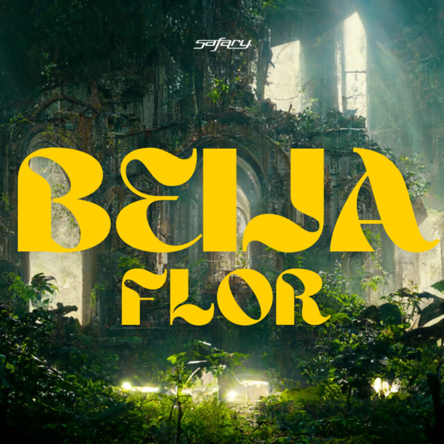 Beija-Flor