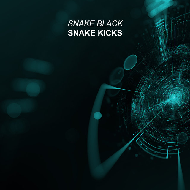 Snake Kicks