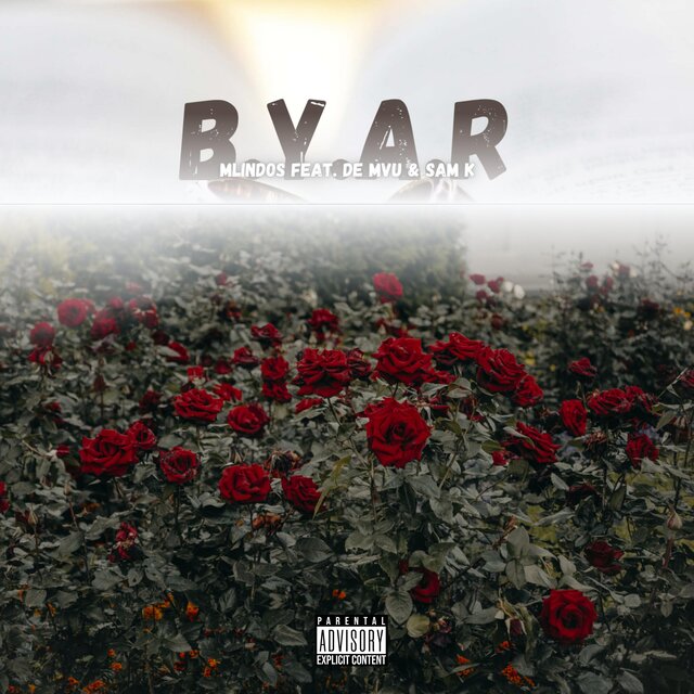 B.Y.A.R (feat. De Mvu & Sam K)