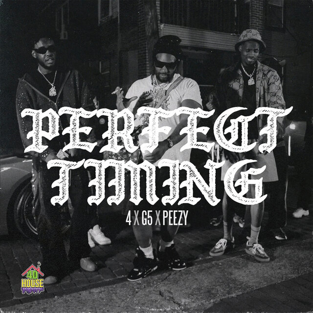 Perfect Timing (Radio Edit)