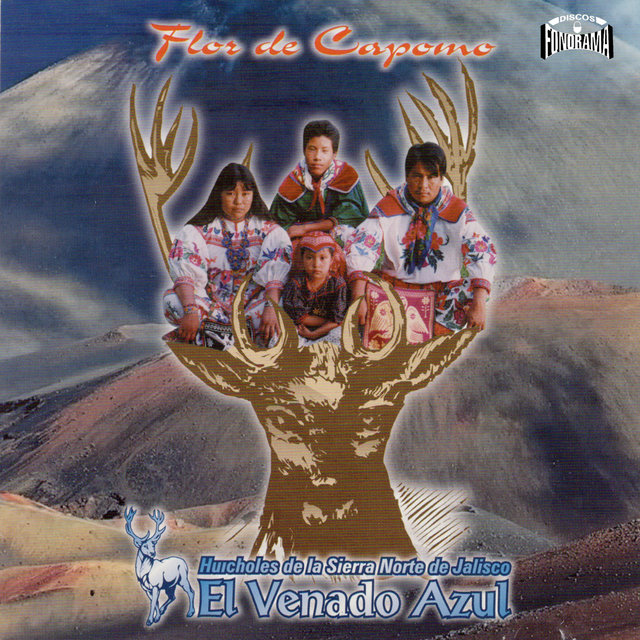 Flor de Capomo