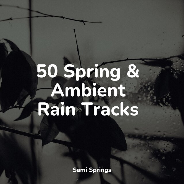 50 Spring & Ambient Rain Tracks