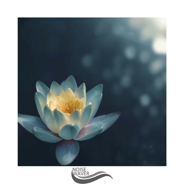 Special Noise Ambient