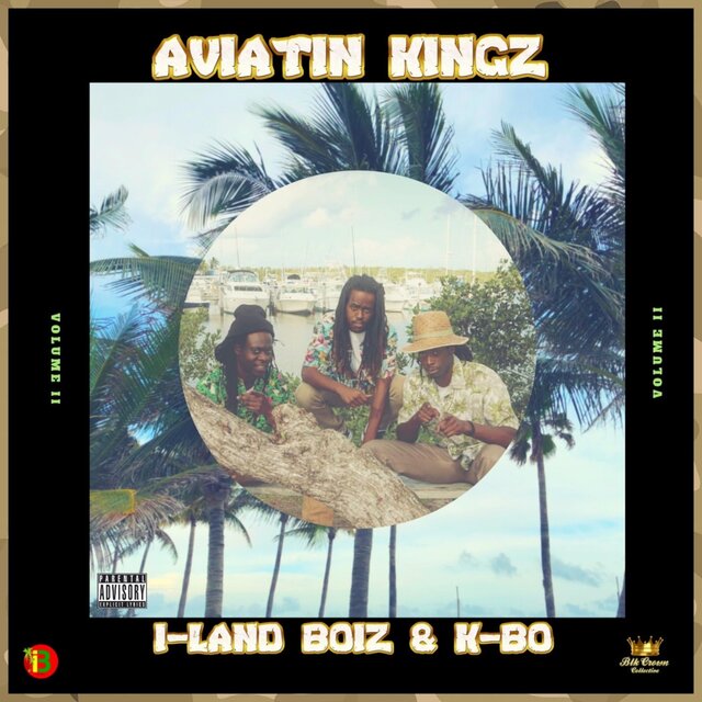 Aviatin Kingz Vol. 2