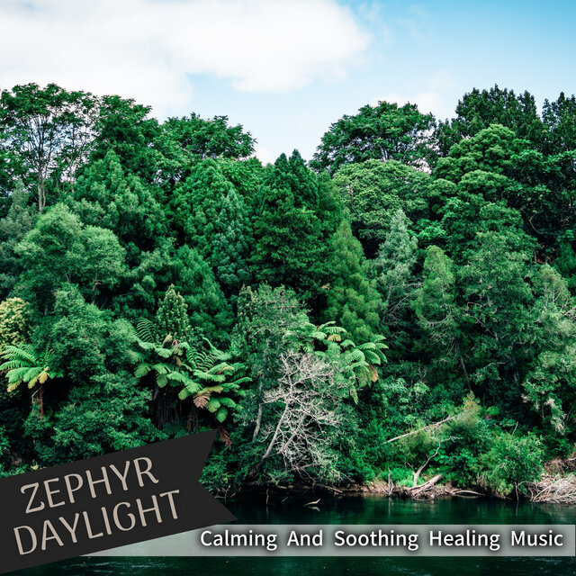 Calming And Soothing Healing Music