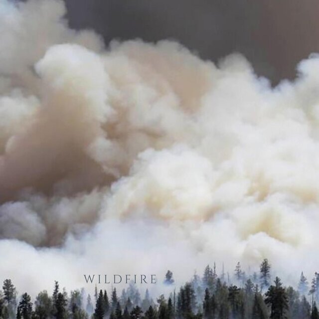Wildfire