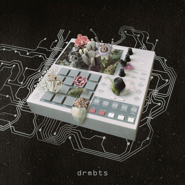 drmbts