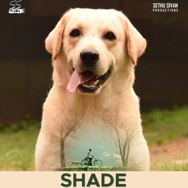 Shade short film (Original Motion Picture Soundtrack)