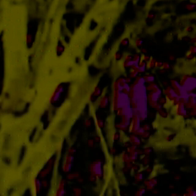 . ...- . .-. -.-- - .... .. -. --. / .. ... / -. --- - .... .. -. --.