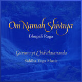 Om Namah Shivaya (Bhupali Raga)
