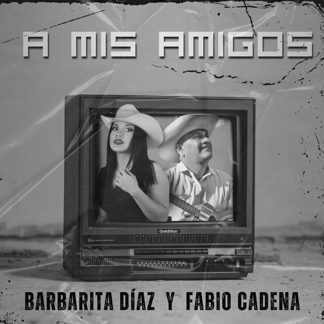 A mis Amigos