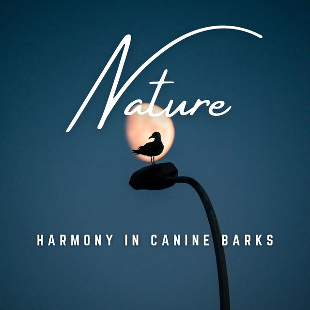 Bark in Harmony: Tranquil Serenades