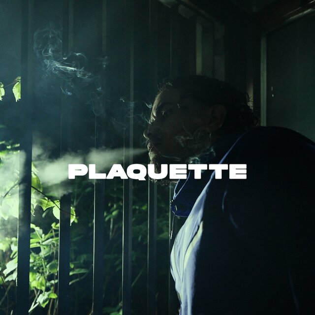 PLAQUETTE