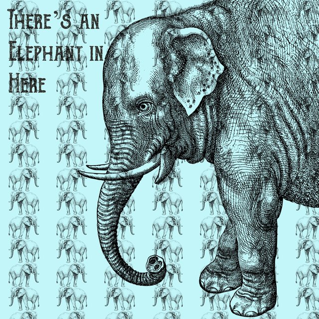 There's an Elephant in Here