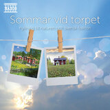 I folkviseton