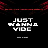 Just Wanna Vibe