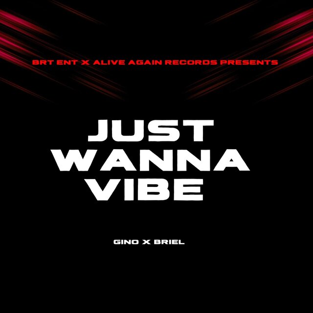 Just Wanna Vibe