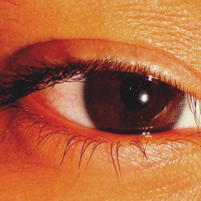 ECLIPSE DE DICIEMBRE