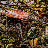 Mors Vincit Omnia (Cassette Mix)