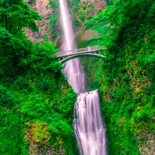 ! Sunrise Rain Meditation ¡