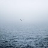 Calm Water