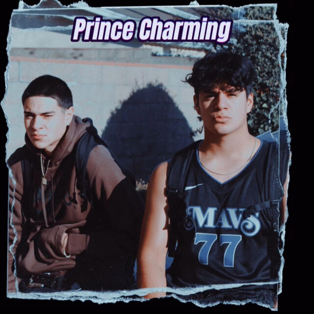Prince Charming (feat. DarkManTheVoice)