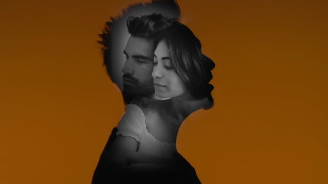 Cosa ci ha fatto l'amore