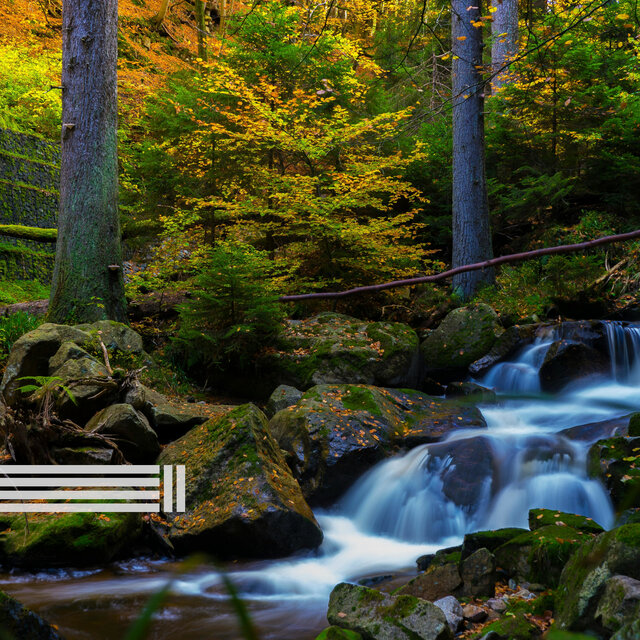 Sons de Cachoeira na Natureza